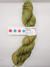 Load image into Gallery viewer, Knitcircus DK Weight 100 gram skeins
