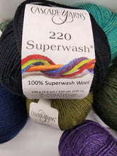 Load image into Gallery viewer, Cascade Yarns 220 Superwash DK yarn bundle - 9 skeins of various colors
