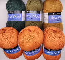 Load image into Gallery viewer, Berroco Ultra Wool Worsted weight bundle of 6 skeins in various colors
